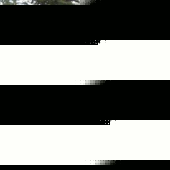 Amazon Selection and Catalog Systems (ASCS)